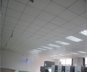 ɽ�|ĳ�S�^(q��)�����F���� ���o�